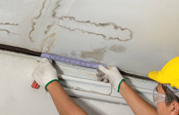 Reliable Burst Pipe Cleanup contractor in Memphis, TX by Local Water Damage Repair
